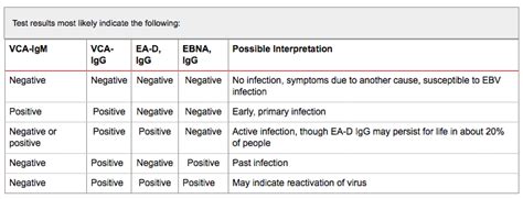 elisa test ebv|ebv lab test results.